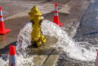wet, water, spray, nature, outdoors, hydrant